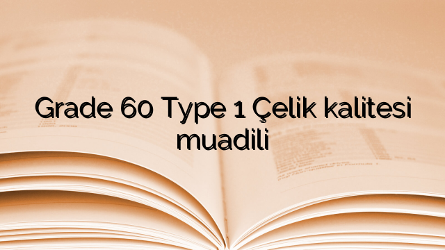 Grade 60 Type 1 Çelik kalitesi muadili