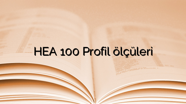 HEA 100 Profil  ölçüleri