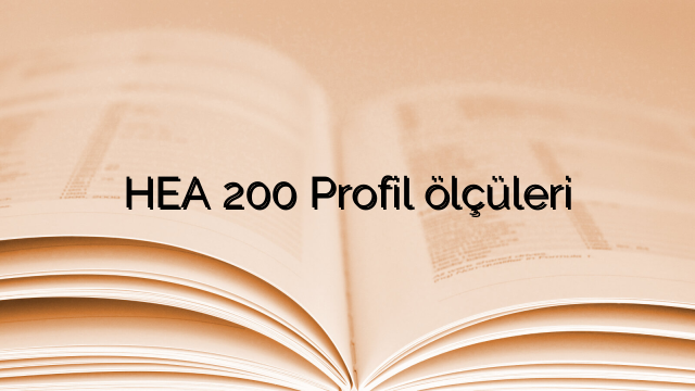 HEA 200 Profil  ölçüleri
