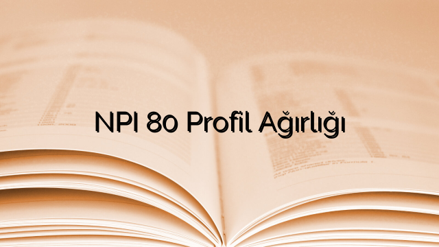 NPI 80 Profil Ağırlığı